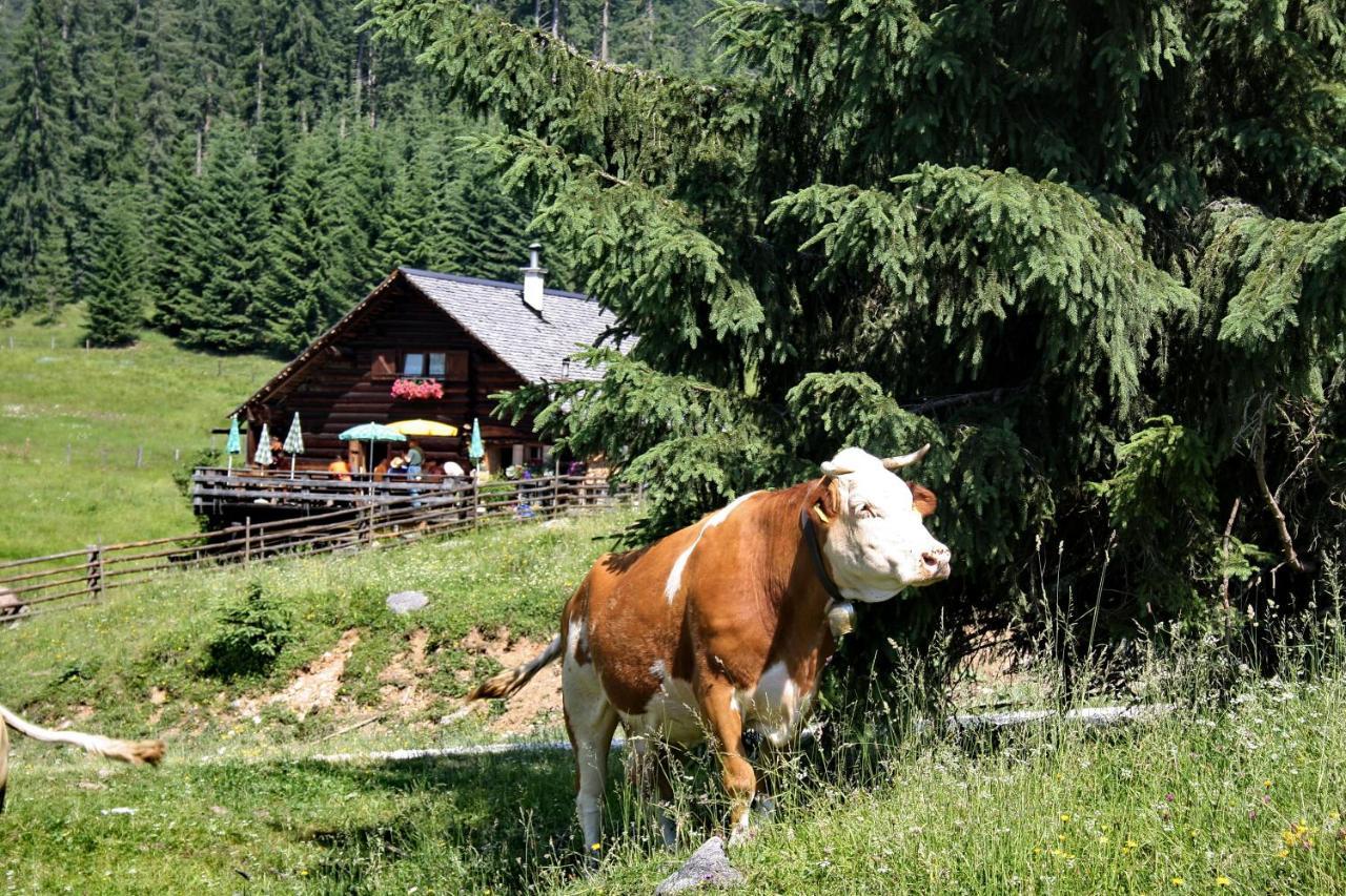 Chalet 164 Bad Goisern Exteriör bild